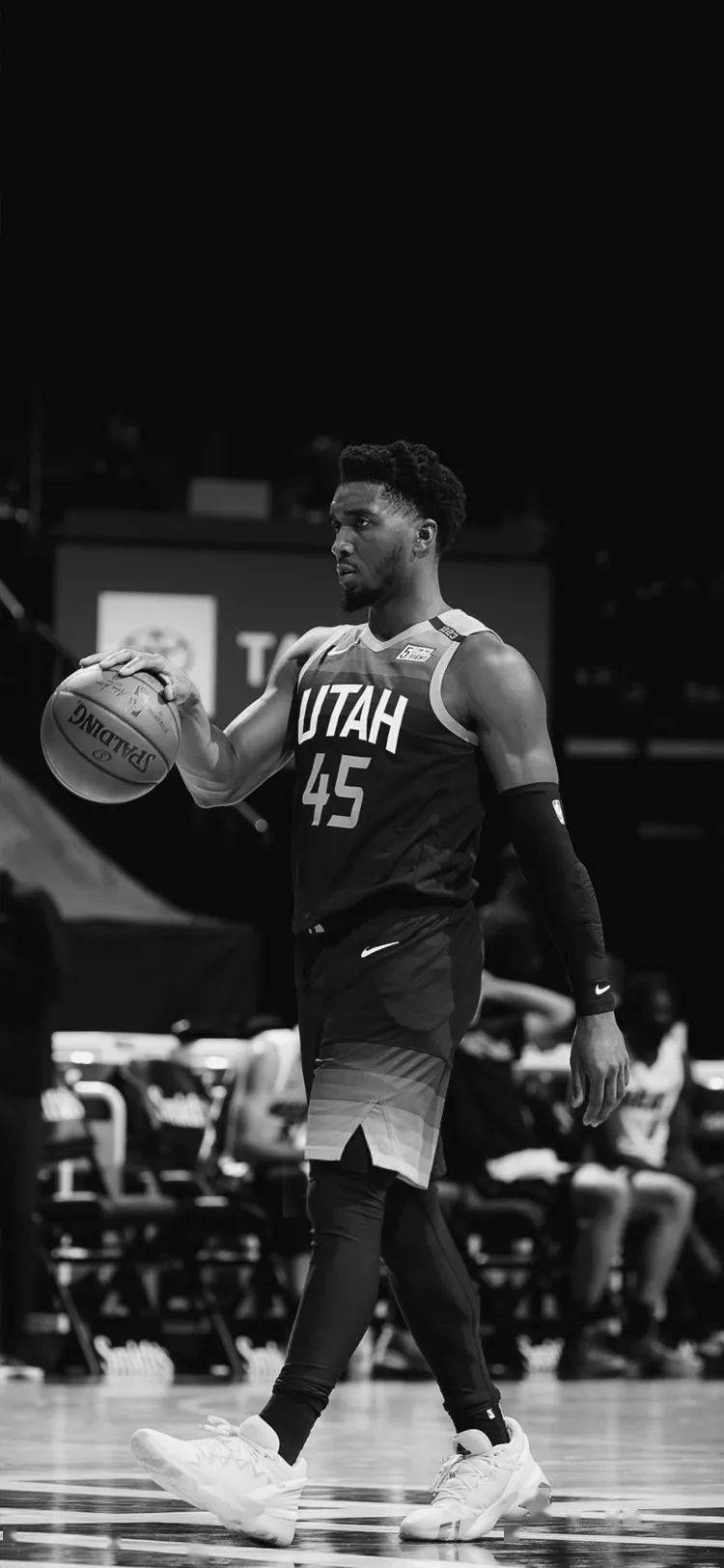 它必须是 它必须是