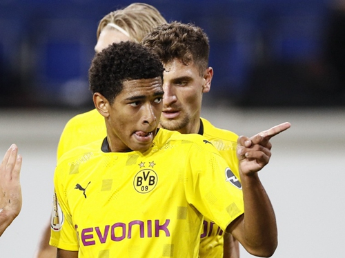 建议采取 建议采取